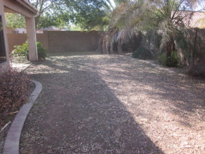 Rear Yard