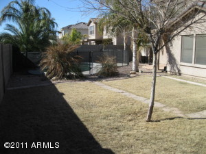 Rear Yard