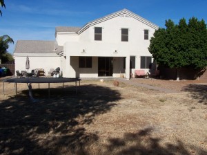 Rear Yard