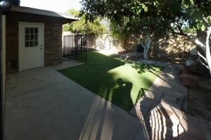 Rear Yard