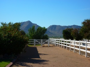 Mountain Views