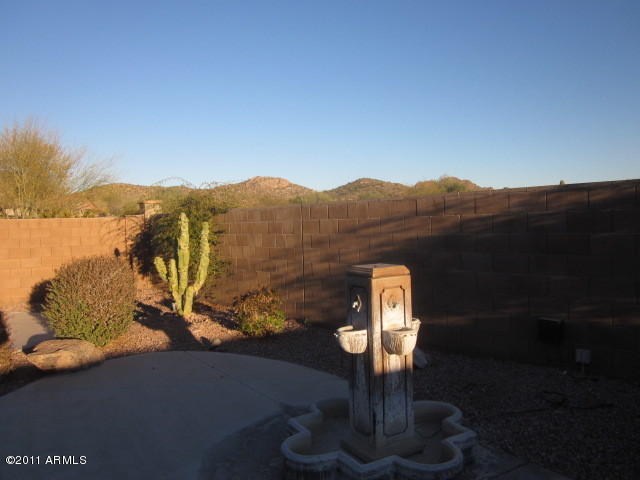 Rear Yard