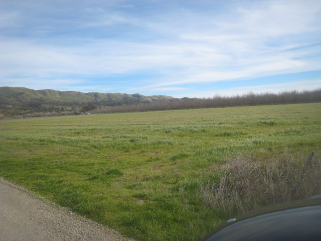 Field
