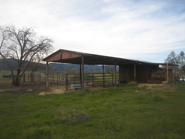 Horse Stalls