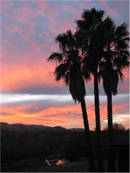 Sunset :)