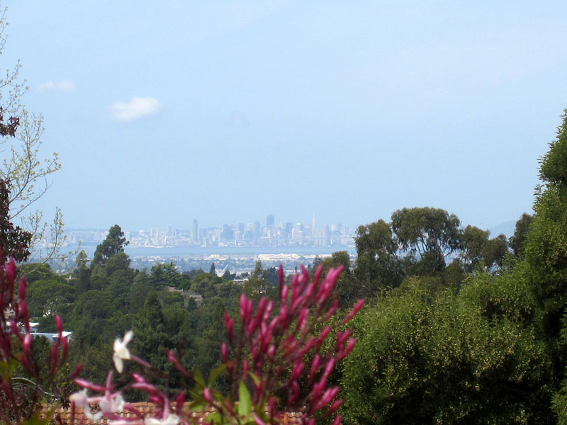 San Francisco Skyline View