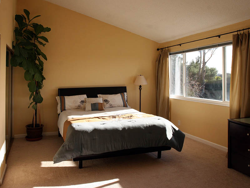 Master Bedroom, Vaulted Ceilings