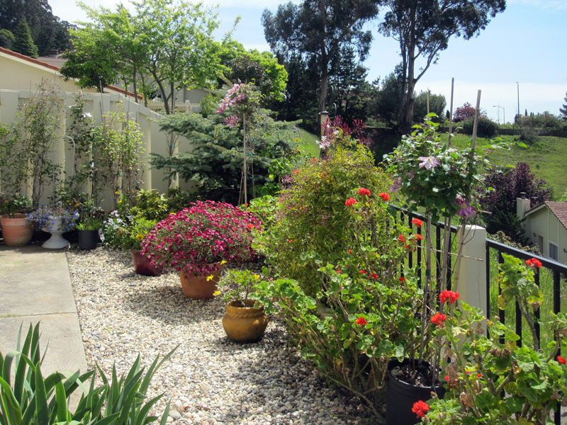 Patio and Garden areas