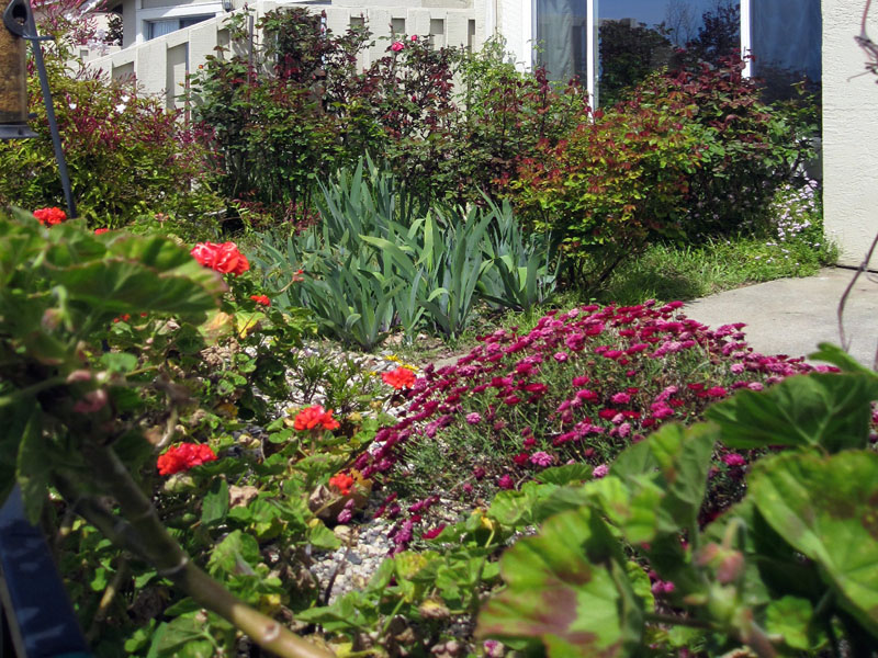 Garden area