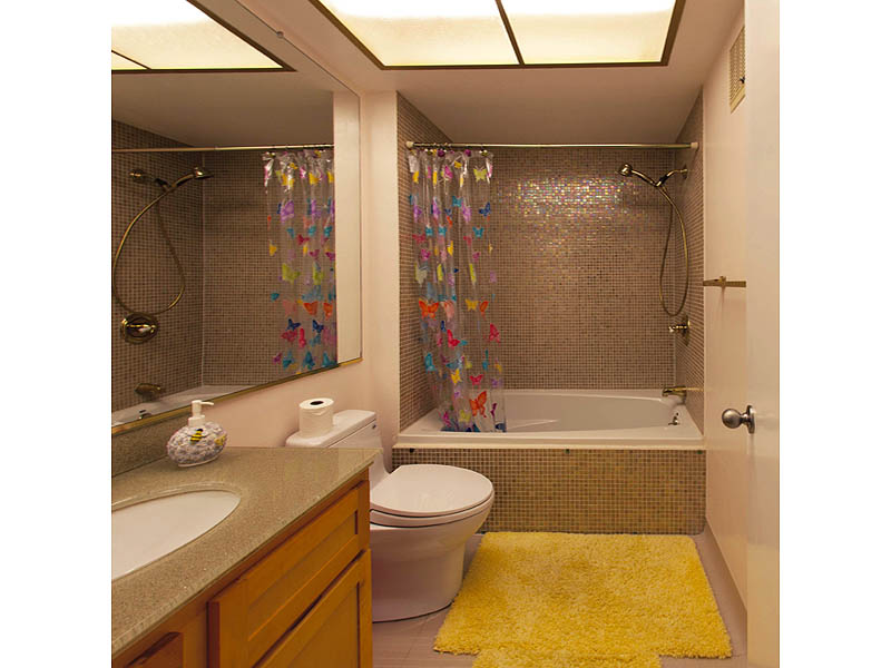 Main Bath with Jacuzzi Tub