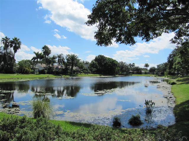 Lakeview from Clubhouse