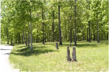 6 War Egle Circle, Crossville, TN