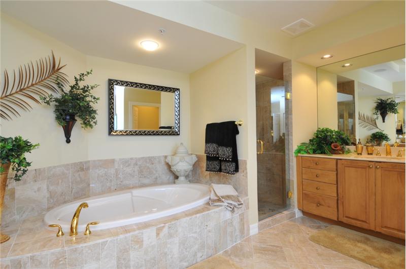 Master Bath with Seperate Shower