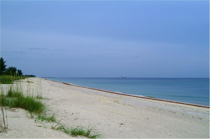 Beach Easement