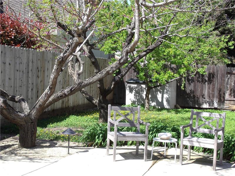 Mature landscaping, sitting areas