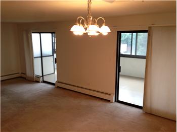Primary listing photos for listing ID 160507