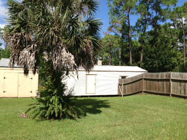 Shed