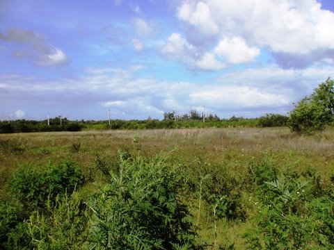 Lot View4