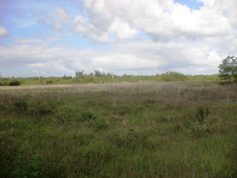 Lot View3