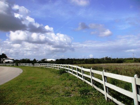 Fenced part of lot -2