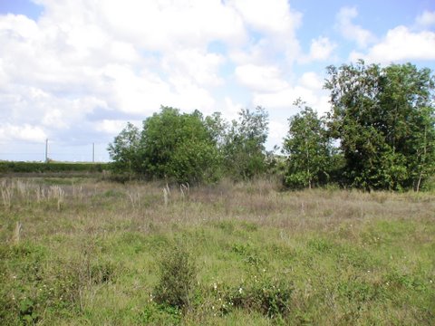Lot View5