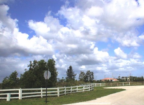 Lot View8