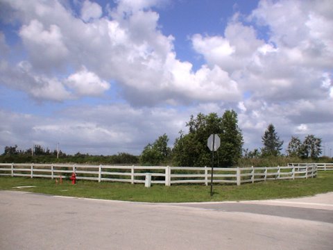 Lot View9