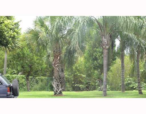 Yard/Garden