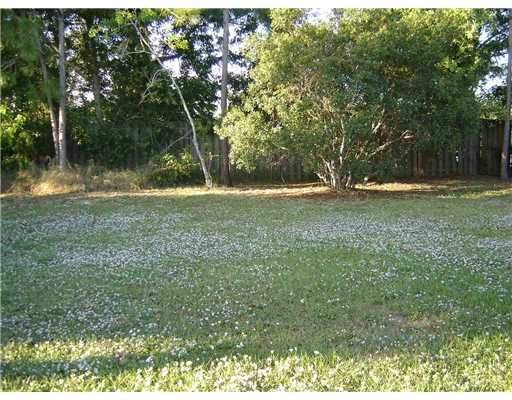Yard/Garden