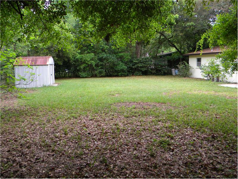 Huge Back Yard