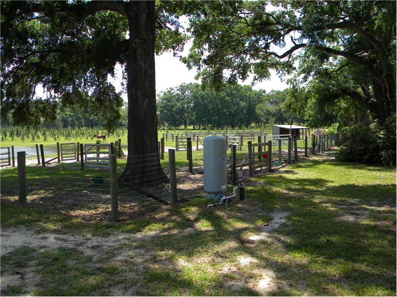 4 Fenced Horse Paddocks