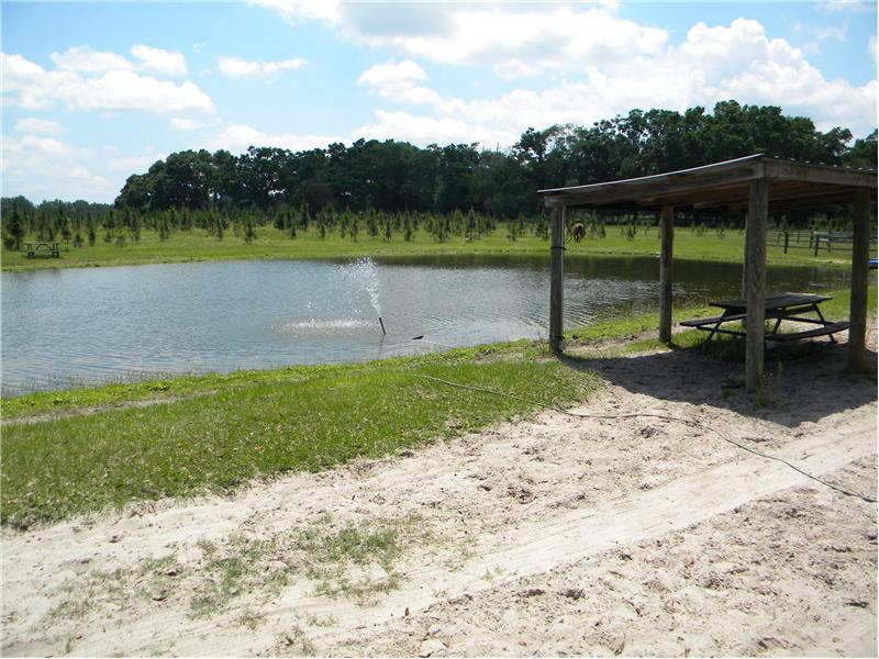 Pond with Fountain and Picnic Area