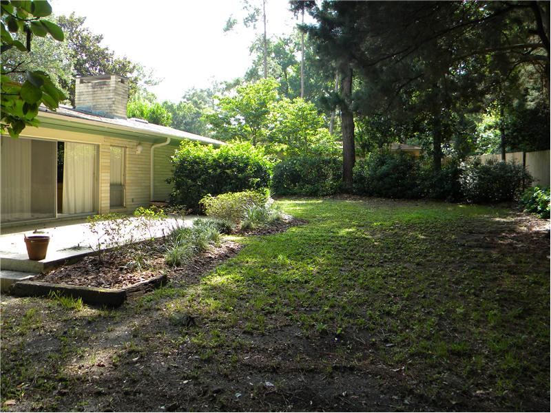 Beautiful Back Yard