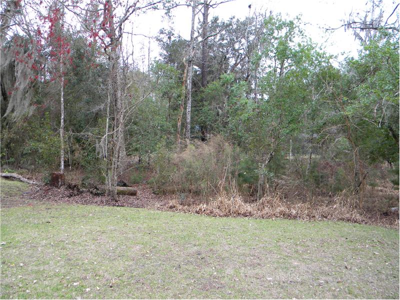 Side Yard