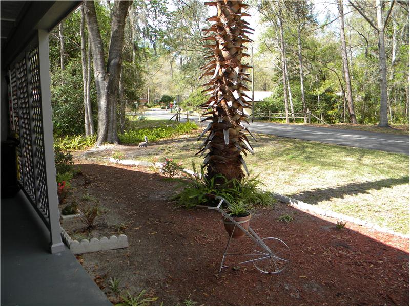 Side Yard View