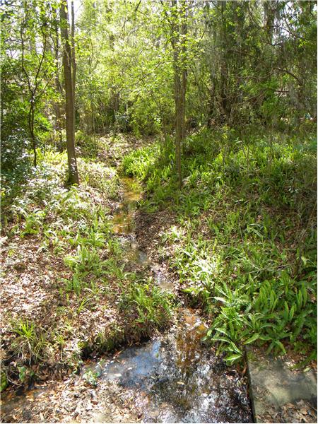 Creek