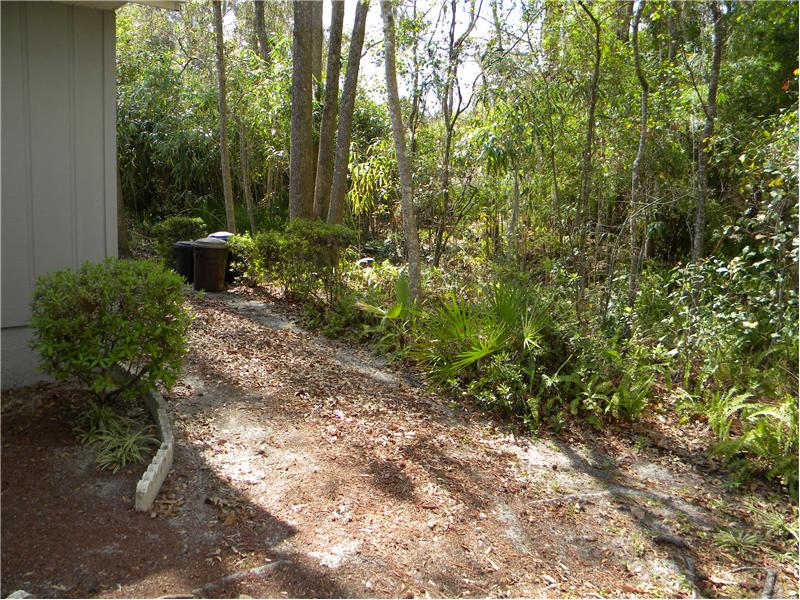 Back Yard to Creek and Green Space