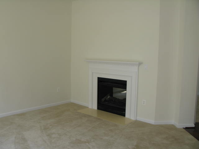 Family room - Gas fireplace