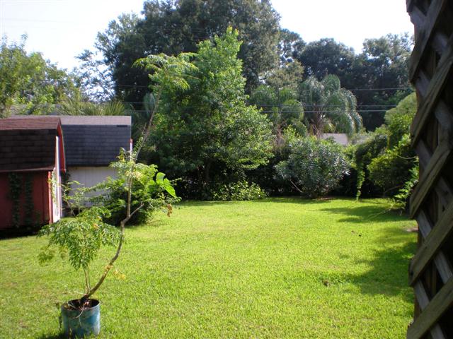 Fenced yard with lush landscaping