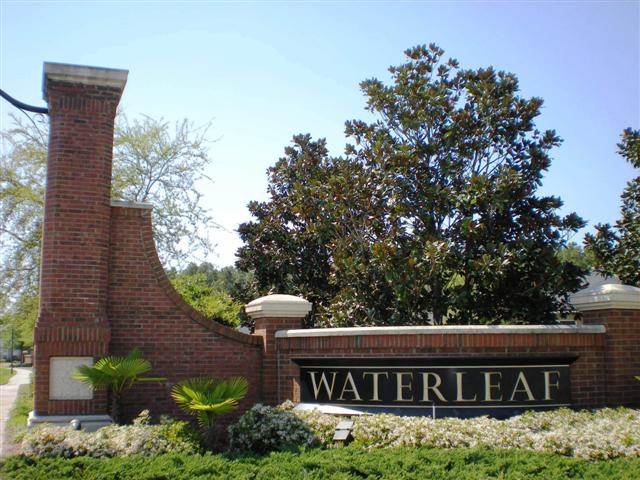 Welcome to Waterleaf