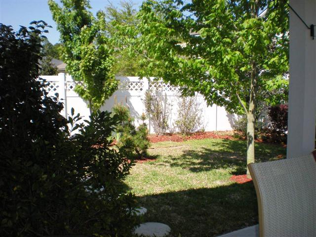 Fenced back yard
