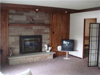 propane fireplace in Lake Ki View home