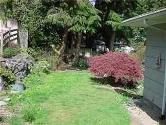 large side and back yard