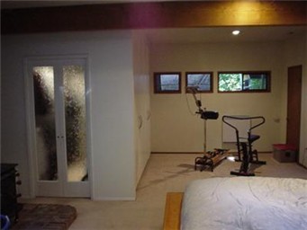 bonus room on lower level