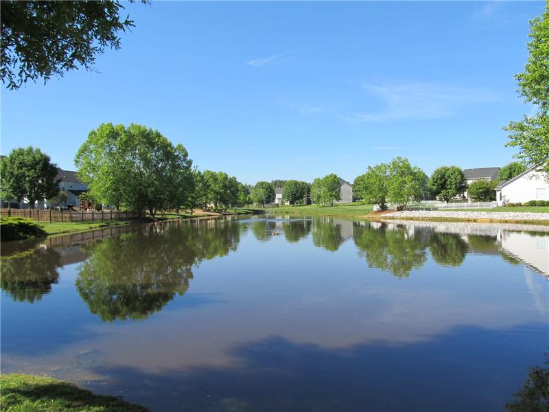 Community fishing pond
