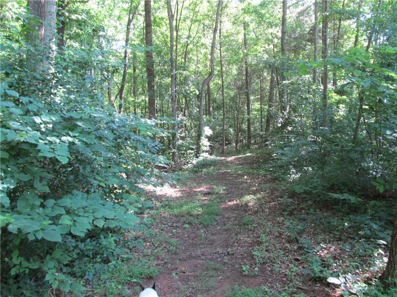 Path through the wooded areas