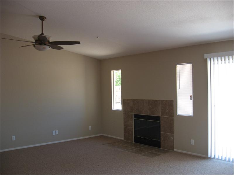 Fireplace in Great Room