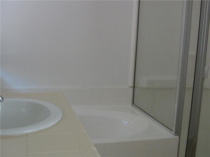 Master Tub and Shower