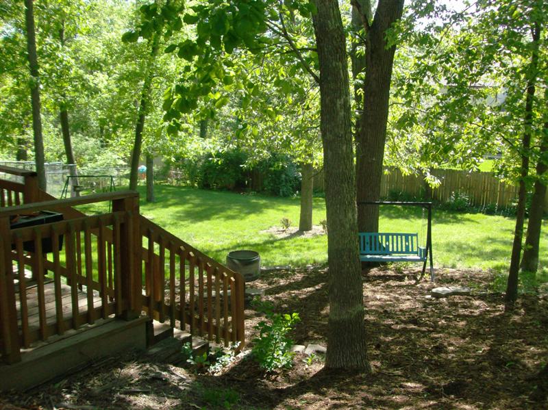 shady backyard