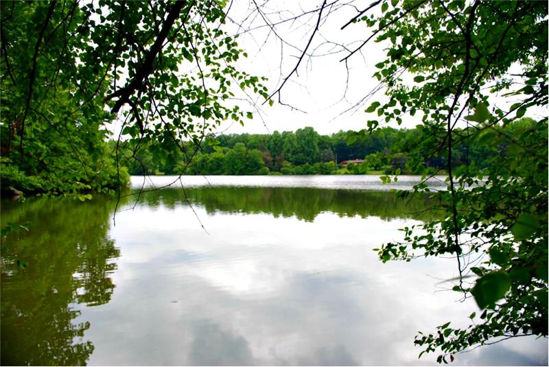 Beautiful Ruritan Lake